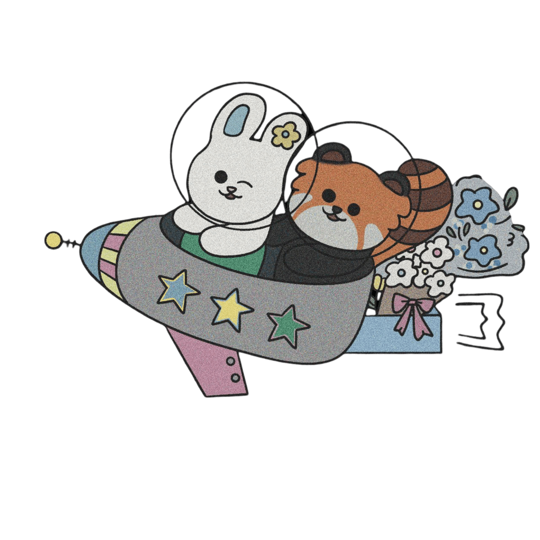 Bomi rocket with Bo and Mi